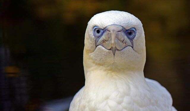 From Safest to Struggling: Providence Confronts Emerging Challenges