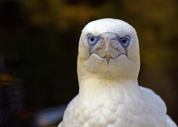 US Launches Comprehensive Vetting of 55 Million Visa Holders to Boost National Security