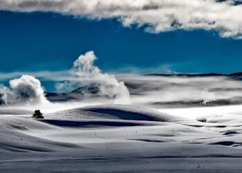 Uncover the Surprising Reasons Behind Wyoming’s #31 National Ranking