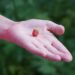 Get Ready! A Brand-New Toys “R” Us Store Is Coming Soon to Jordan Creek Mall!