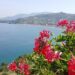 Discover the Rich and Vibrant Music Traditions of Chile and Peru