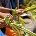 How the NRC is Changing Lives Across Honduras