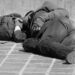 Bussed Out: The Hidden Truth Behind America’s Mass Relocation of Homeless Communities
