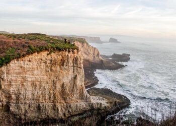 Explore the Charm of California’s Coolest Beach Town: Santa Cruz Revealed