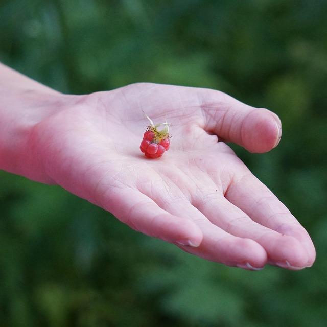 Idaho Sparks America’s Bold New Nuclear Era
