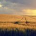 American Accused of Killing Hotel Worker in Anguilla Launches Legal Battle Against Resort Company