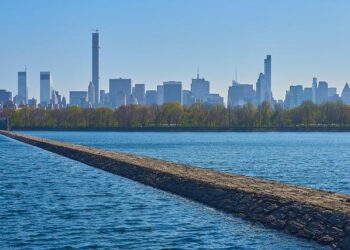 A Nation Divided: Grappling with a War Trump Has Largely Ignored