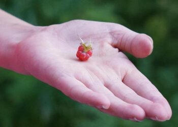 Turning Point USA Kicks Off Exciting New Statewide Partnership with Club America