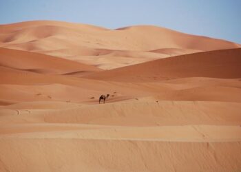 Morocco’s Bold Diplomatic Drive to Forge Stronger Bonds Across Latin America