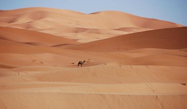 Morocco’s Bold Diplomatic Drive to Forge Stronger Bonds Across Latin America