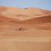 Morocco’s Bold Diplomatic Drive to Forge Stronger Bonds Across Latin America