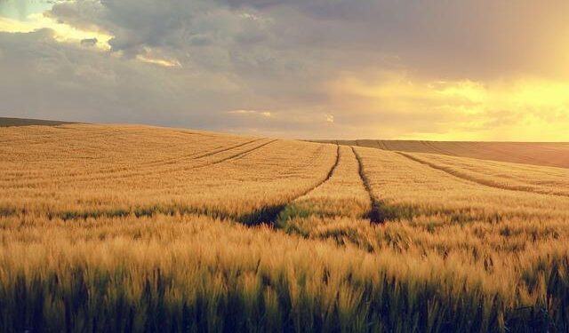 Winter Storm Strikes US, Promising a Wet Weekend for Bermuda