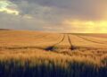 States Urged to Take Action Against Escalating Transnational Repression in Nicaragua